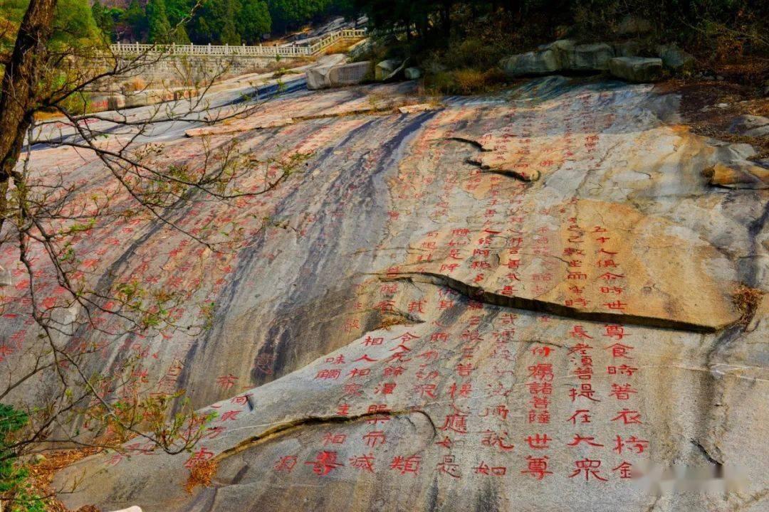 公主的时尚风